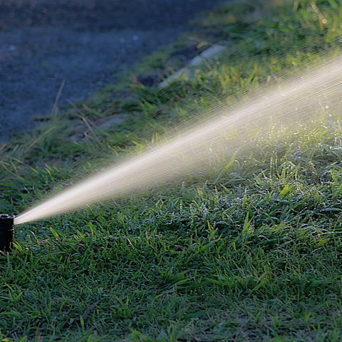 Zdjęcie: Automatyczne podlewanie ogrodu w Home Assistant: sterownik, harmonogram i pogoda